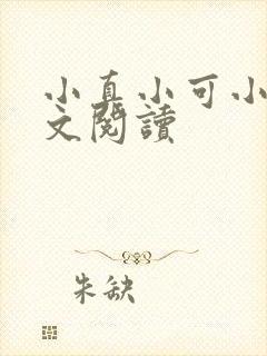 小真小可小说全文阅读封面
