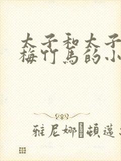 太子和太子妃青梅竹马的小说