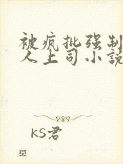 被疯批强制的美人上司小说封面