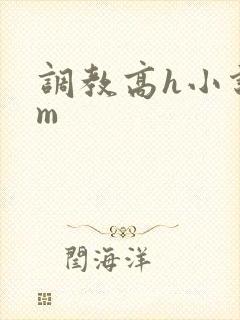 调教高h小说sm