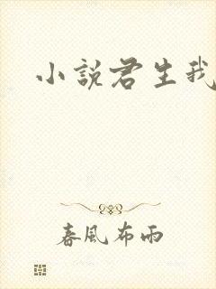 小说君生我已老