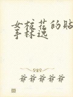 女校花的贴身高手林逸