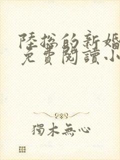 陆总的新婚哑妻免费阅读小说无弹窗