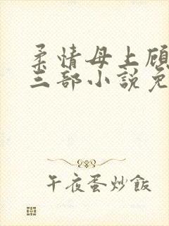 柔情母上顾为第三部小说免费阅读