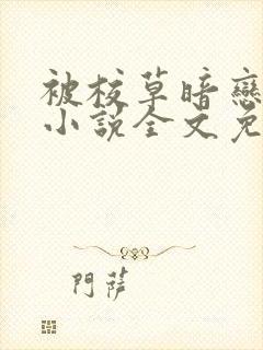 被校草暗恋之后小说全文免费阅读封面