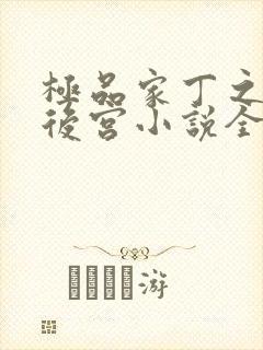 极品家丁之风流后宫小说全文阅读封面