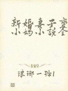 新婚妻子变成了小妈小说全文阅读
