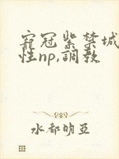 宠冠紫禁城(双性np,调教