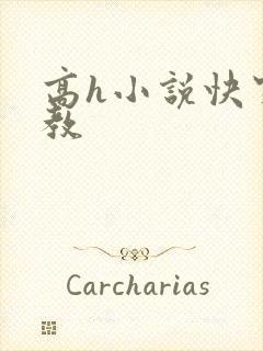 高h小说快穿调教