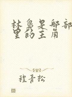 林枭是哪部小说里的主角