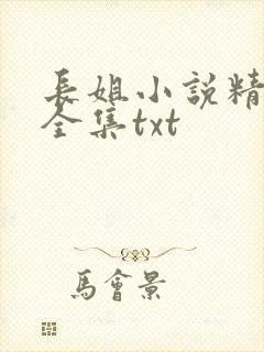 长姐小说精校版全集txt