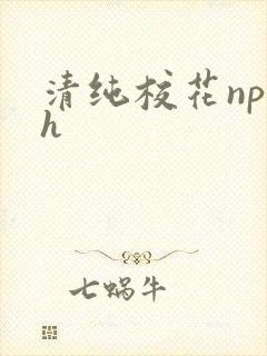 清纯校花np高h封面