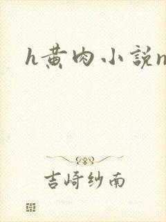 h黄肉小说np