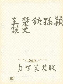 王楚钦孙颖莎小说文