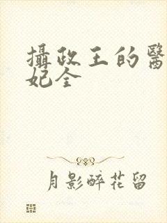 摄政王的医品狂妃全封面