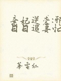 弃妃逆袭:邪王日日追妻忙免费阅读封面