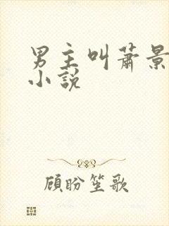 男主叫萧景辰的小说封面