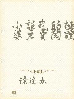 小说我的极品老婆免费阅读全文封面