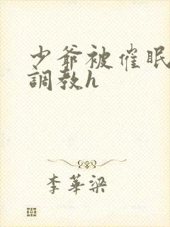 少爷被催眠玩弄调教h