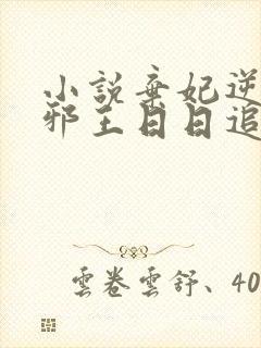 小说弃妃逆袭:邪王日日追妻忙阅读封面