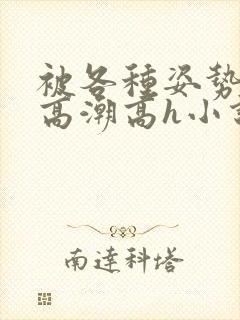 被各种姿势c到高潮高h小说