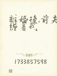 离婚后,前夫老缠着我