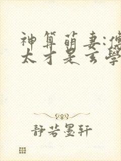 神算萌妻:傅太太才是玄学真大佬txt下载