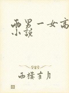 两男一女高h文小说