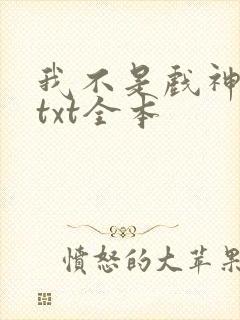 我不是戏神小说txt全本