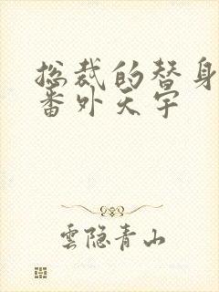 总裁的替身前妻番外天宇