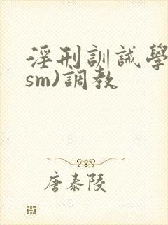 淫刑训诫学校(sm)调教