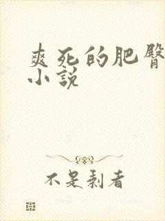 爽死的肥臀村妇小说封面