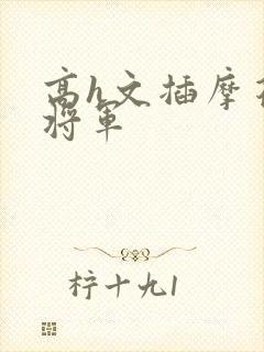 高h文插摩花心将军