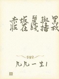 赤坂丽与黑人原版在线播放封面