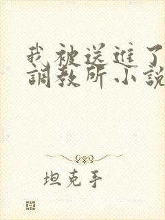 我被送进了私奴调教所小说