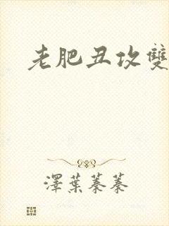 老肥丑攻双性受封面