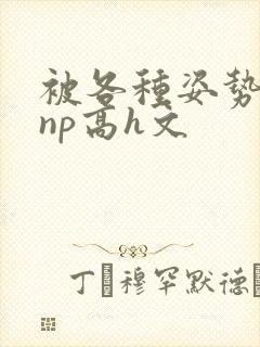 被各种姿势玩弄np高h文