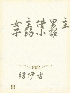 女主借男主生孩子的小说封面