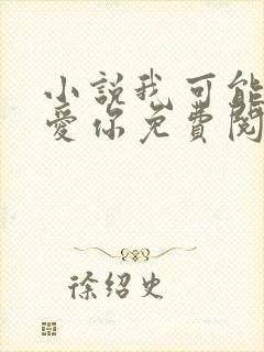 小说我可能不会爱你免费阅读