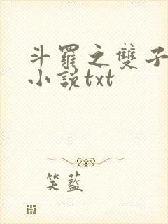 斗罗之双子斗罗小说txt