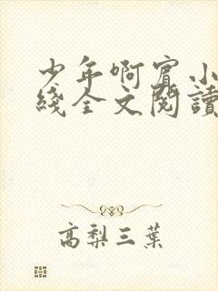 少年啊宾小说在线全文阅读封面