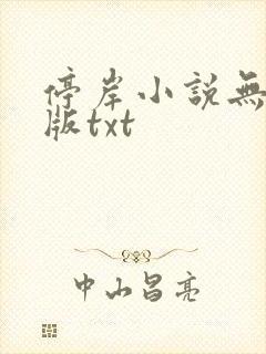 停岸小说无删减版txt
