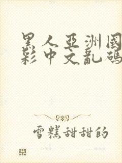 黑人亚洲国产精彩中文乱码av封面