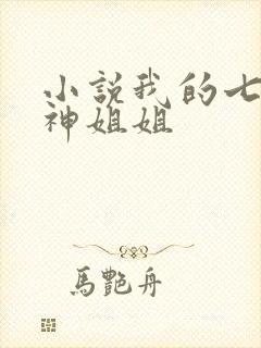 小说我的七个女神姐姐