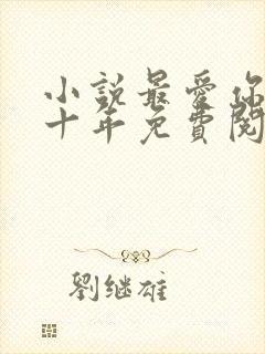 小说最爱你的那十年免费阅读封面