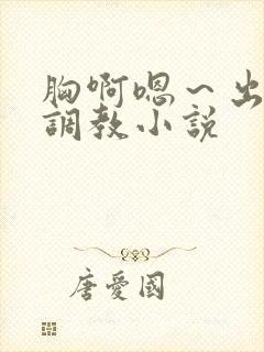 胸啊嗯～出奶了调教小说