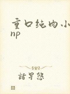 重口纯肉小说 np