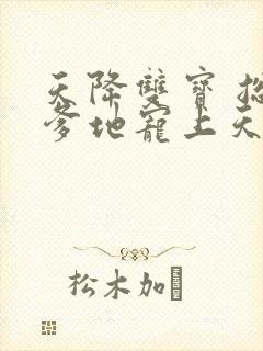 天降双宝 总裁爹地宠上天