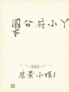 国公府小丫鬟完本