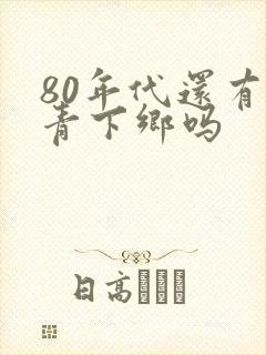 80年代还有知青下乡吗封面